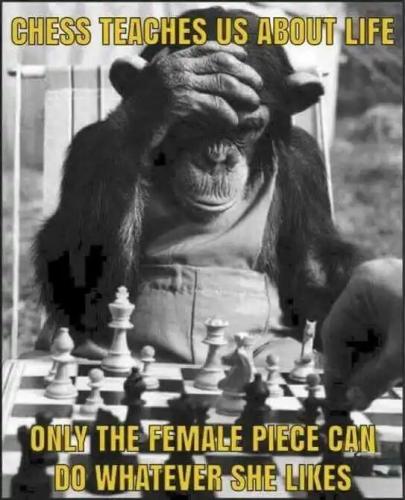 chess-teaches-about-life-only-female-piece-do-what-wants.jpg