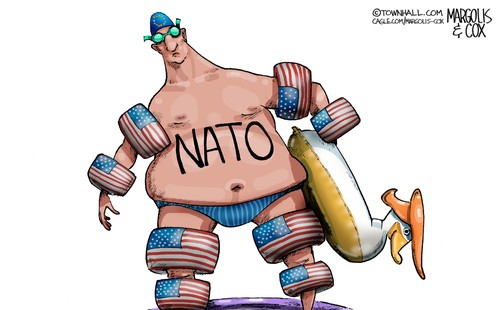 MC-NATOfloat-042226-thm-500x310