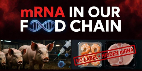 4-25-26 mRNA in our FOOD CHAIN
