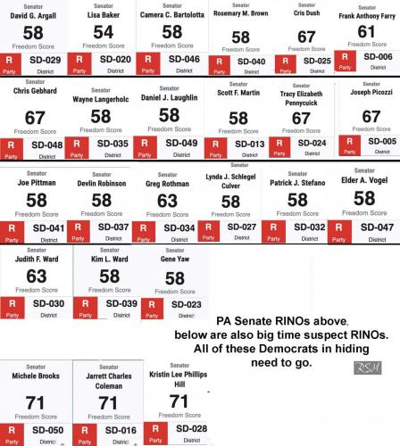 senate Rino