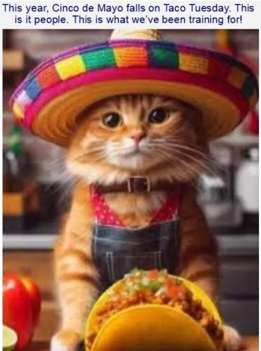 cinco-de-mayo-falls-on-taco-tuesday-training-for.jpg
