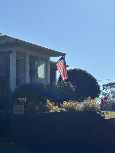 Flag - 22