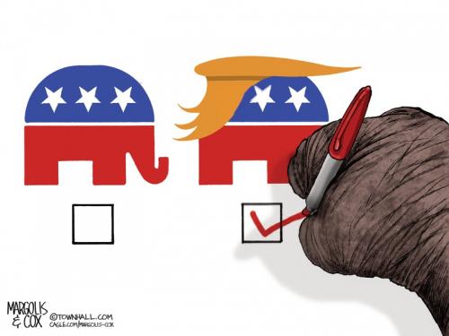 MC-TrumpGOP-052126-thm-800x0