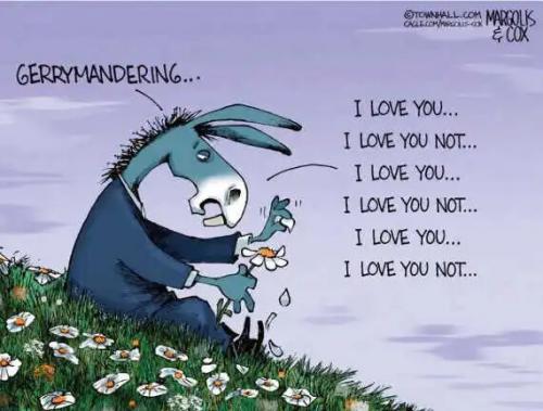democrats-gerrymandering-love-you-not-flowers.jpg