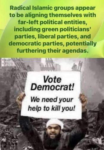 vote