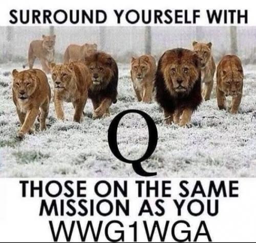 wwg1wga 69