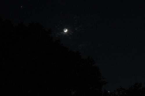 IMG_2834