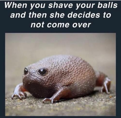 1000006779