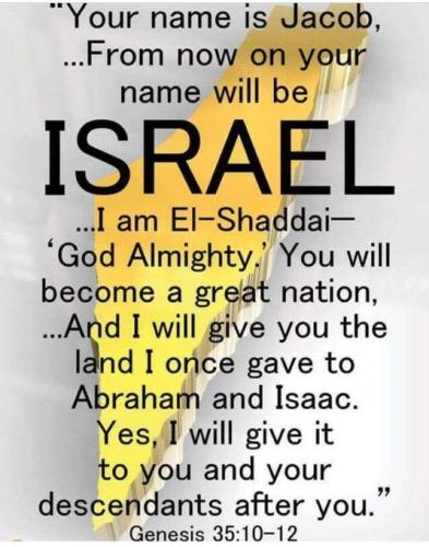 719 Israel