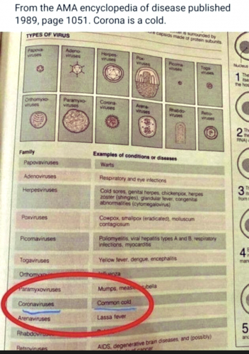 Flu= CORONAVIRUS = COVID-19 Bio-weapon