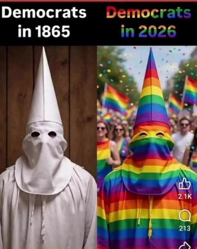 1000031352