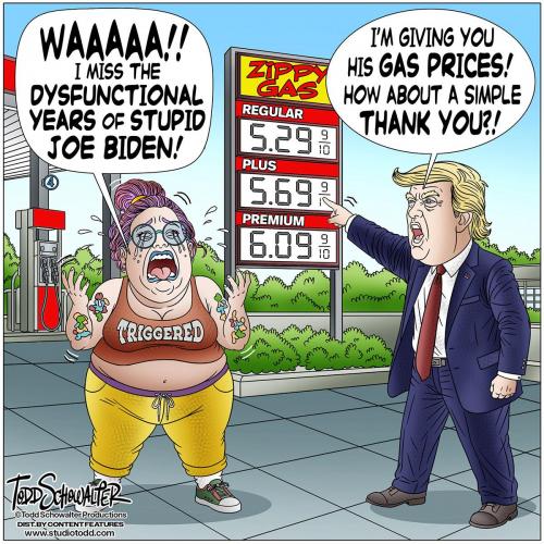 Cartoon