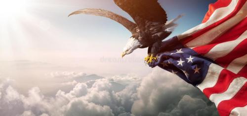 Flag - Eagle with American flag