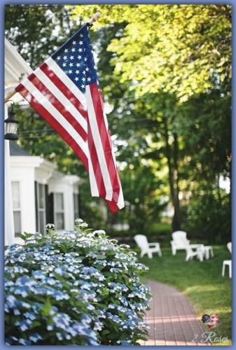 Flag - Backyard