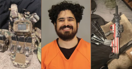 daca pig