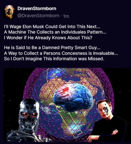Elon Musk's Brain Chip ~X Post~