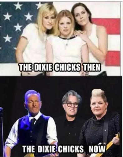 dixie-chicks-then-now-mane-rosie-springsteen.jpg
