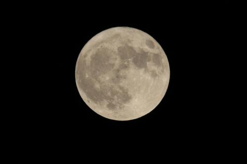 IMG_2853