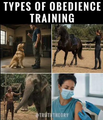 types-of-obedience-training-dog-elephant-horse-liberal-shots-mask.jpg
