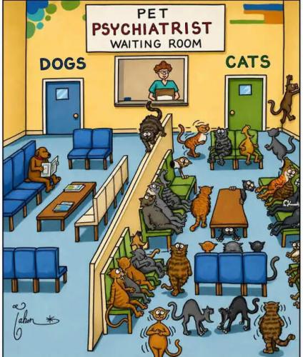 pet-psychiatrist-cats-vs-dogs.jpg