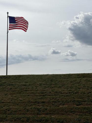 Flag - 25