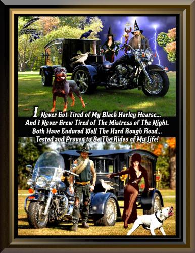 Black Harley Hearse ~The Rides of My Life~