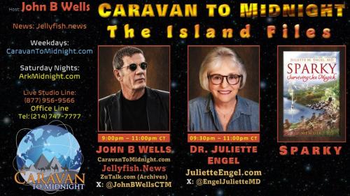 Show Banner