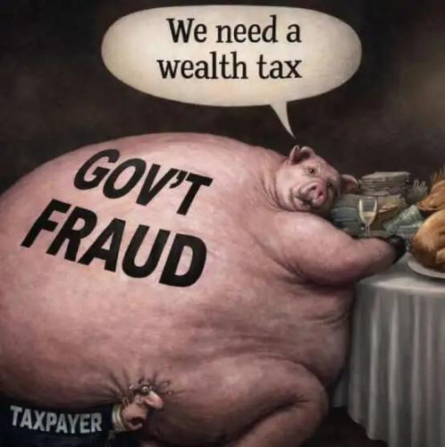 government-fraud-pig-crushing-taxpayer-need-wealth-tax.jpg