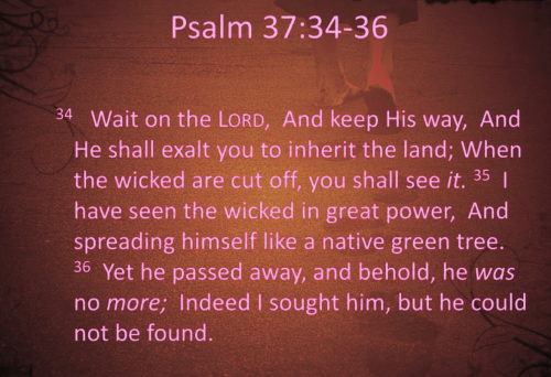 6-12-26 Psalm 37~34-36