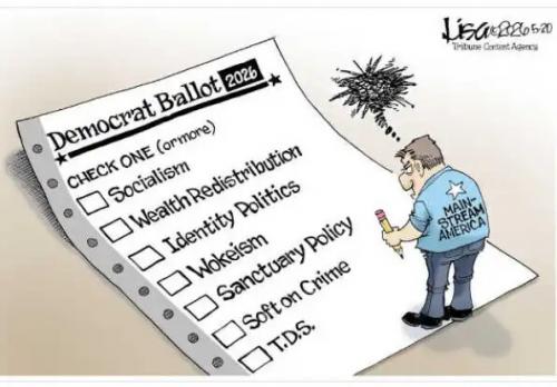 democrat-ballot-2026-socialism-identity-politics-wokeism-wealth-redistribution.jpg