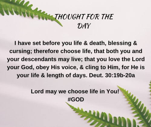 TWEET 06-22-26