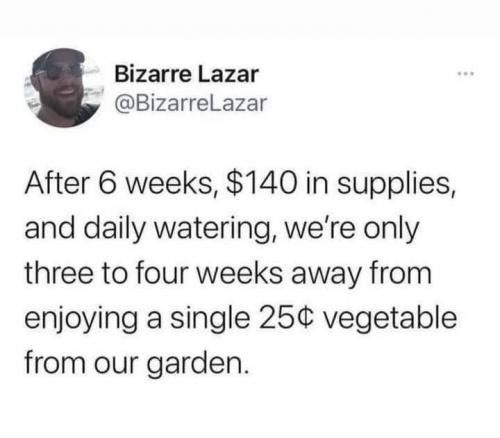 1000060987