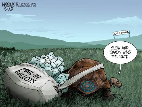 MC-Tortoise-060526-thm-800x0