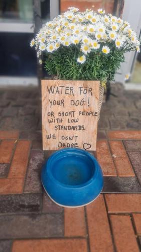 Funny sign 16 - Water bowl