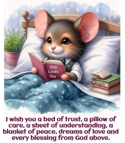 6-16-26 Good Night Everyone