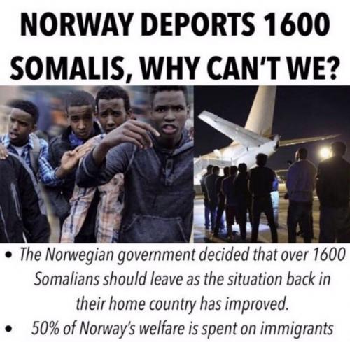 norway somalis
