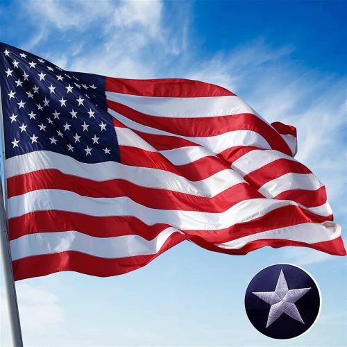 Flag - Waving 3