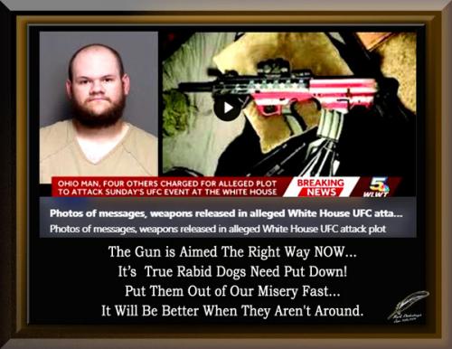 Rabid Dogs Need Put Down