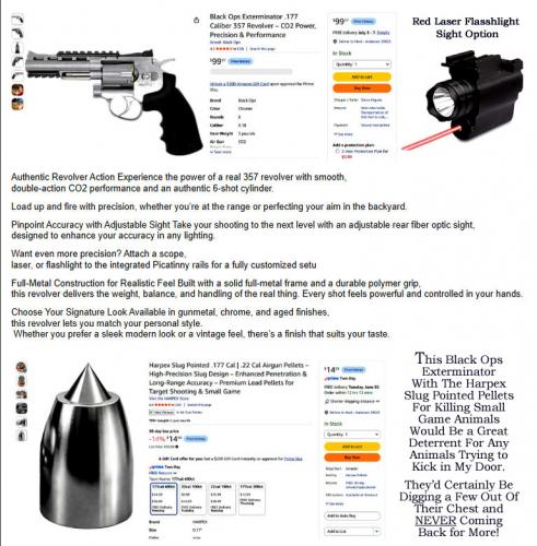 357 - .177 Caliber Pellet Revolver and Ammo