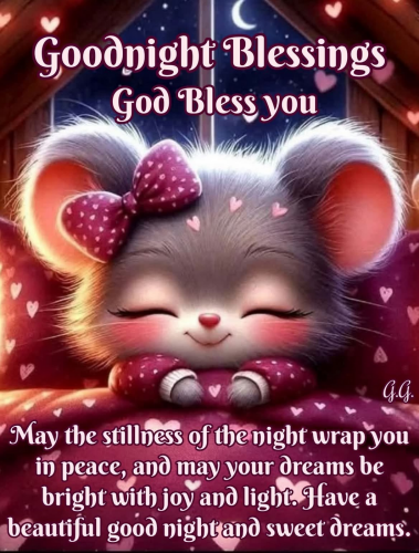 6-17-26 Good Night Everyone