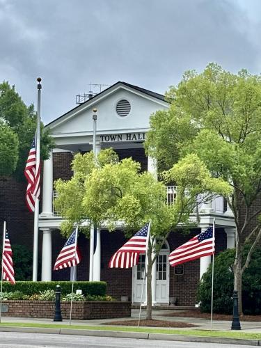 Flag - Town Hall