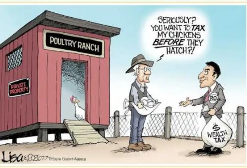 poultry-ranch-wealth-tax-chickens-before-they-hatch.jpg