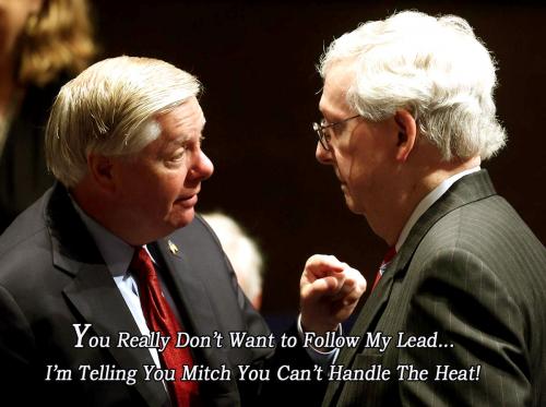 Lindsey Warning Mitch