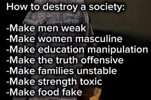 1000008087