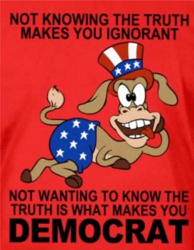 Democrat - Not knowing the truth...