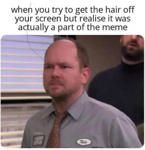 try-to-get-hair-off-screen-realize-part-of-meme.jpg