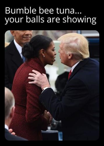1000062156