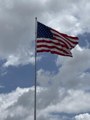 Flag - 29 Charleston, SC