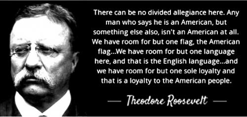 Theodore Roosevelt ~WE Have Room for Only One Flag~