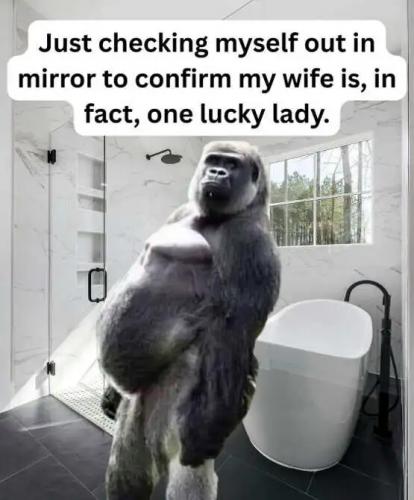 ape-me-checking-myself-mirror-wife-lucky-lady.jpg